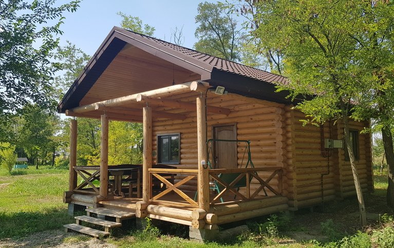 Камыши