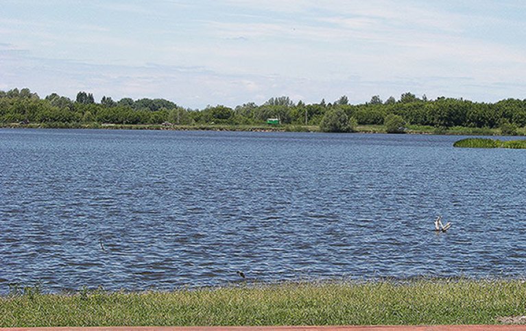 Рыбалка Курск