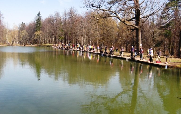 У Петровича