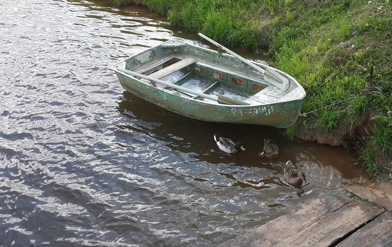 Рыбалка в Родюкино