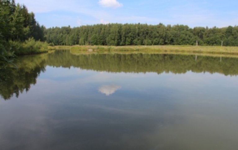 Рыбалка в Ваньково