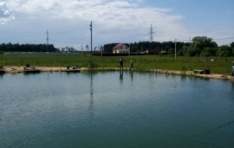Забелино