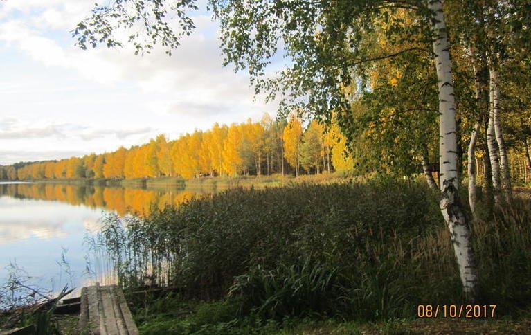 Клинский. Участок Новоселки