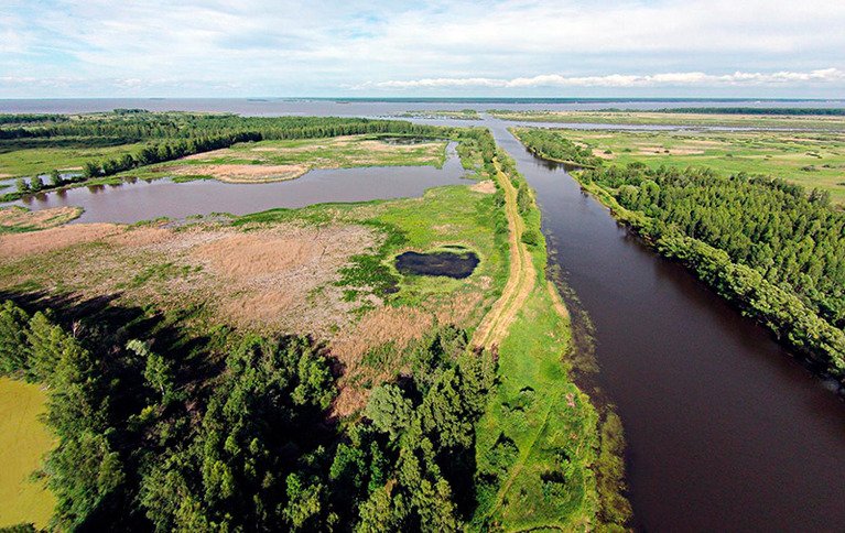 Рыбинка