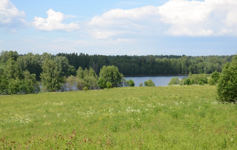 РыбинЗон