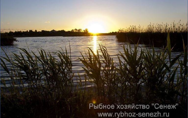 Сенеж
