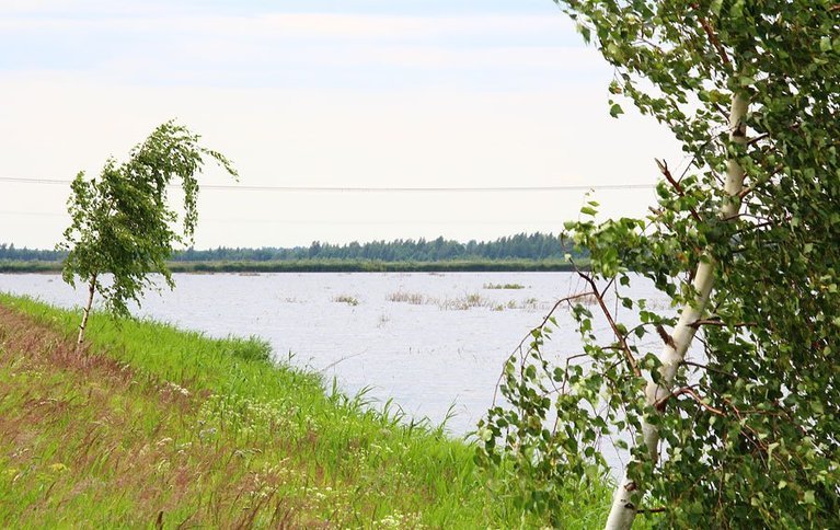 Рыбное