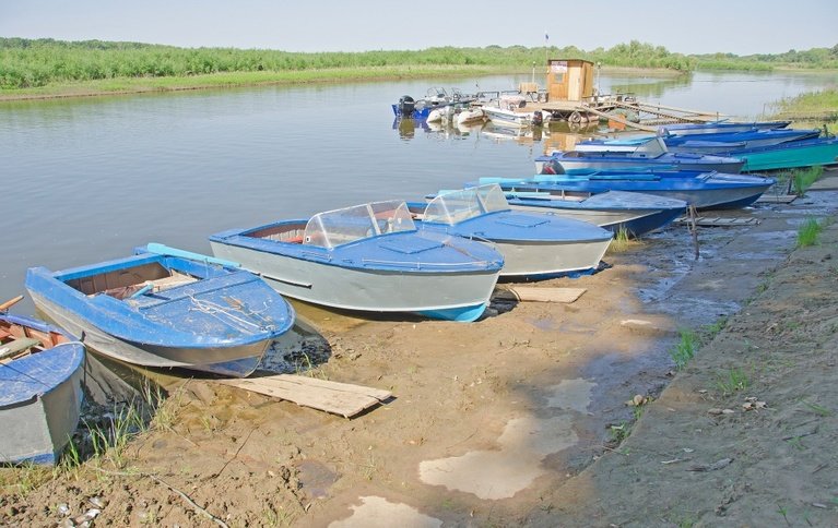Рыбный край