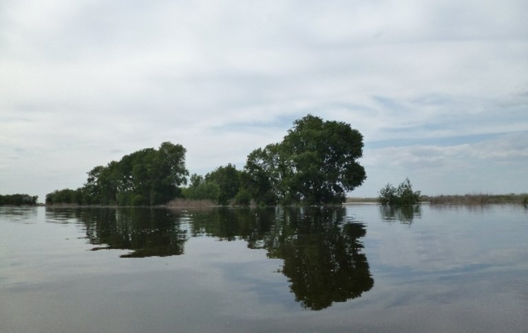 Поплавок