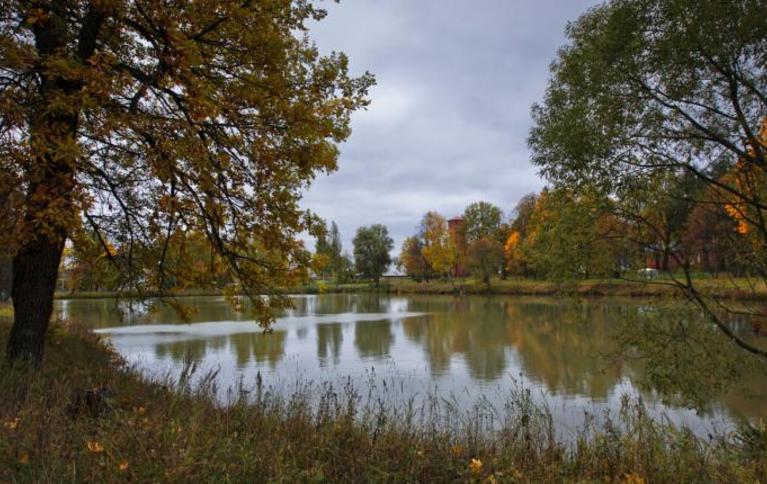 Савельево-3