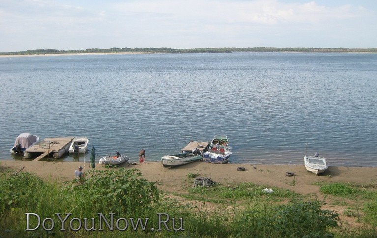 Щукари