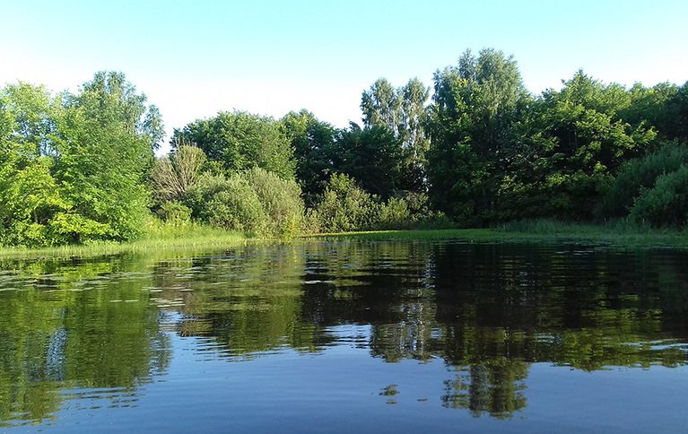 Щукино