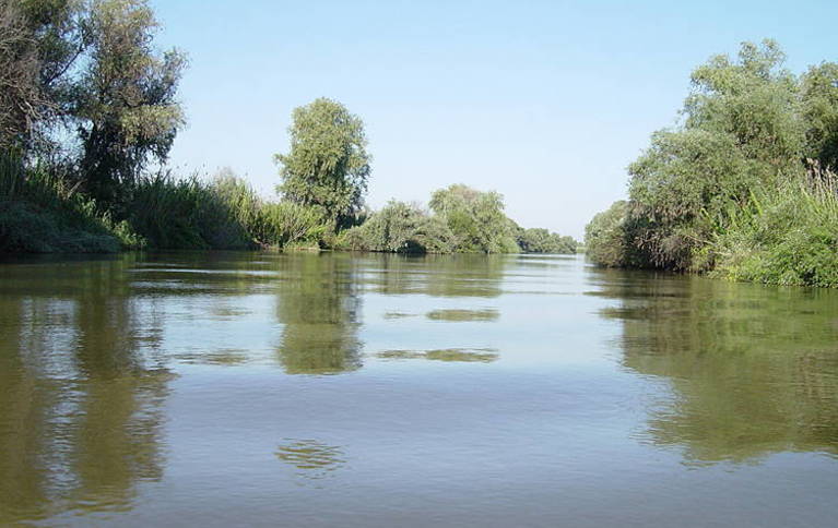 Серебряная дельта