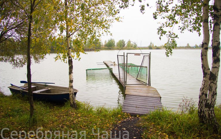 Серебряная чаша