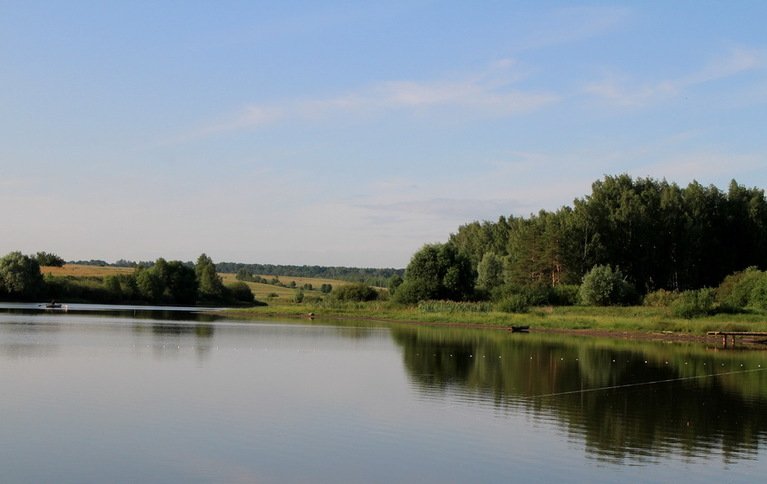 Синец