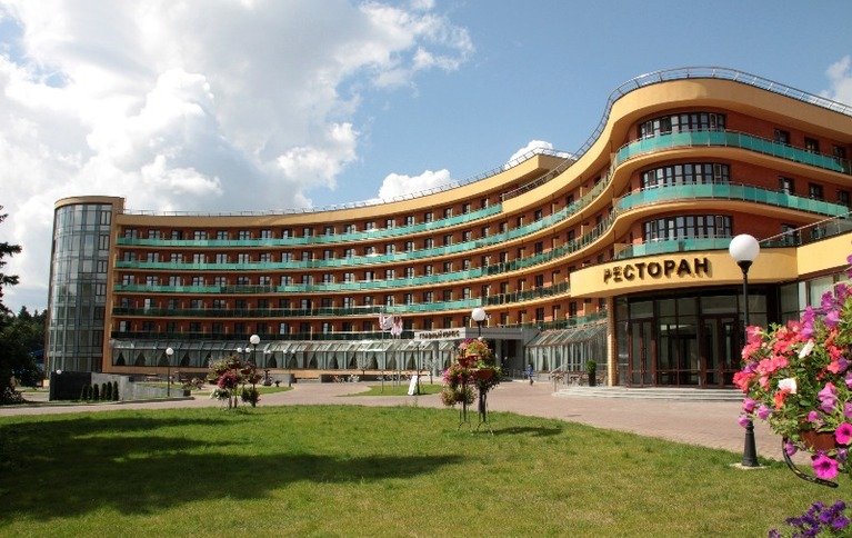 Снегири