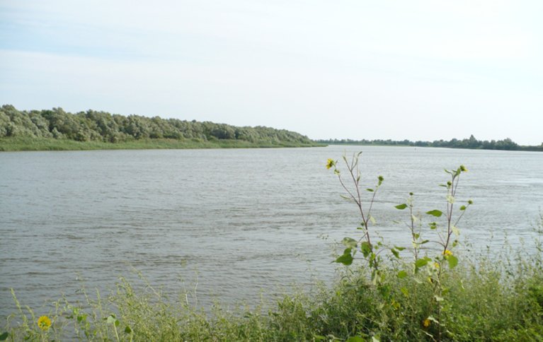 Старая Волга