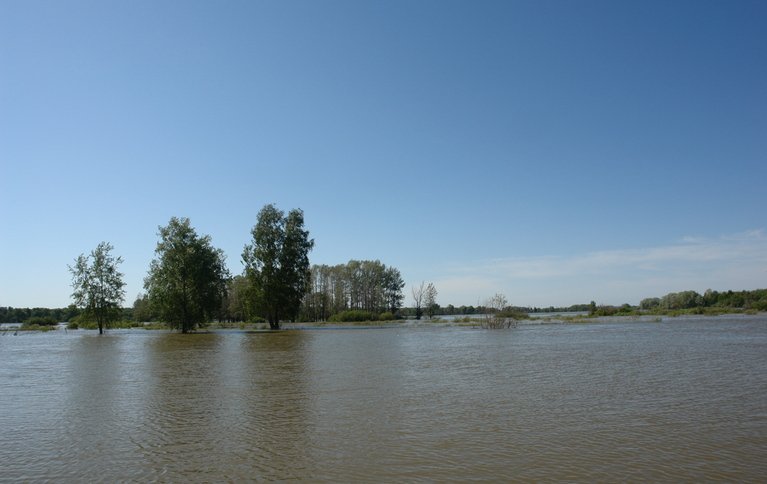 Сузунская заимка