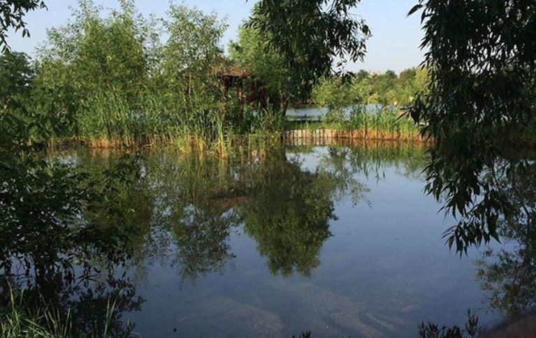 Тайное местечко
