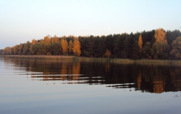 Токарево