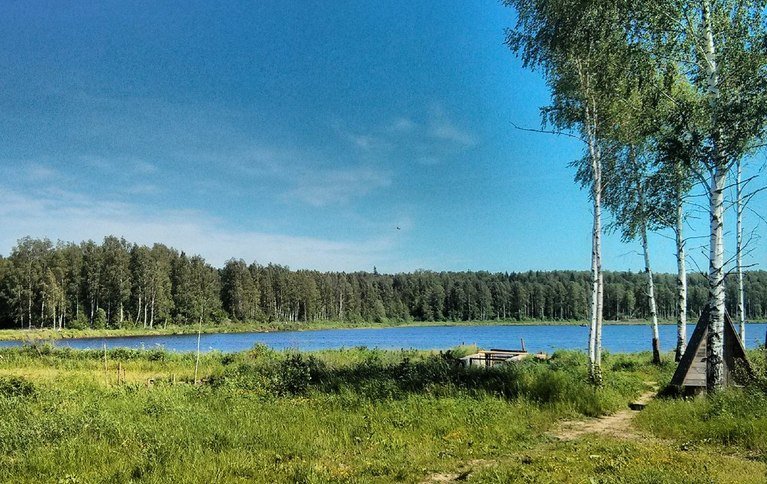 Бурдиха