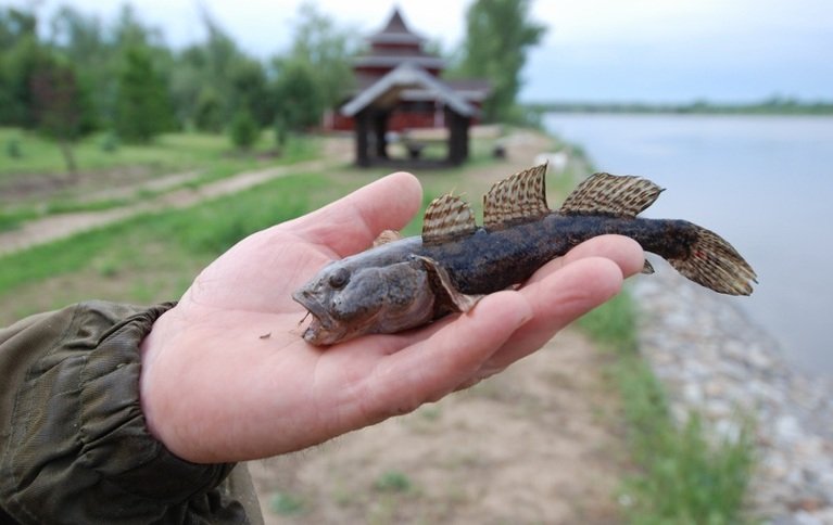 Успех