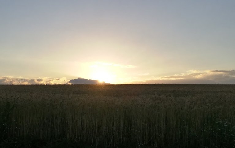 В гостях у Мелании