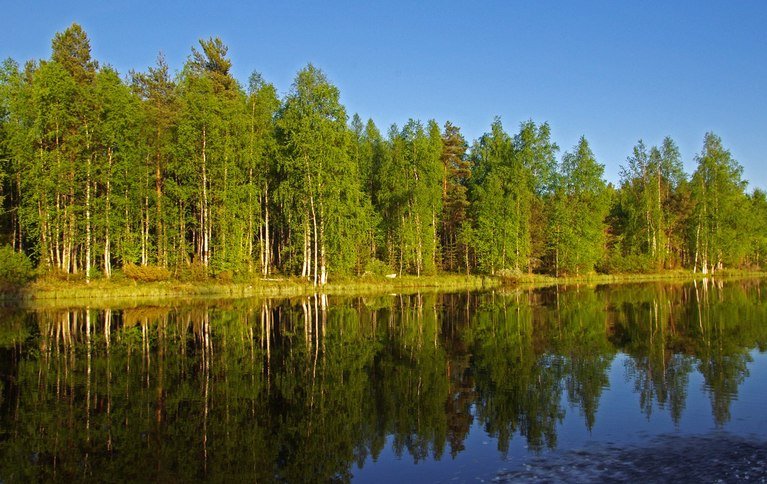 Войница