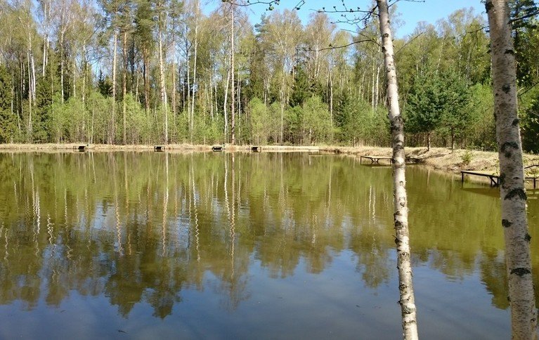 Заболотское