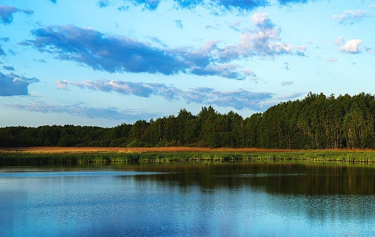 Заря