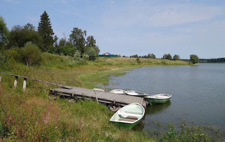 Зеленая лощина