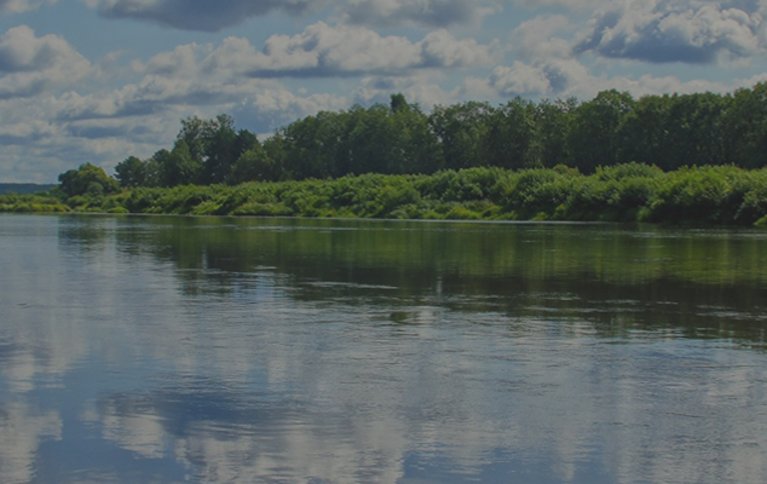 Зеленга