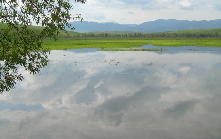 Зеркальный