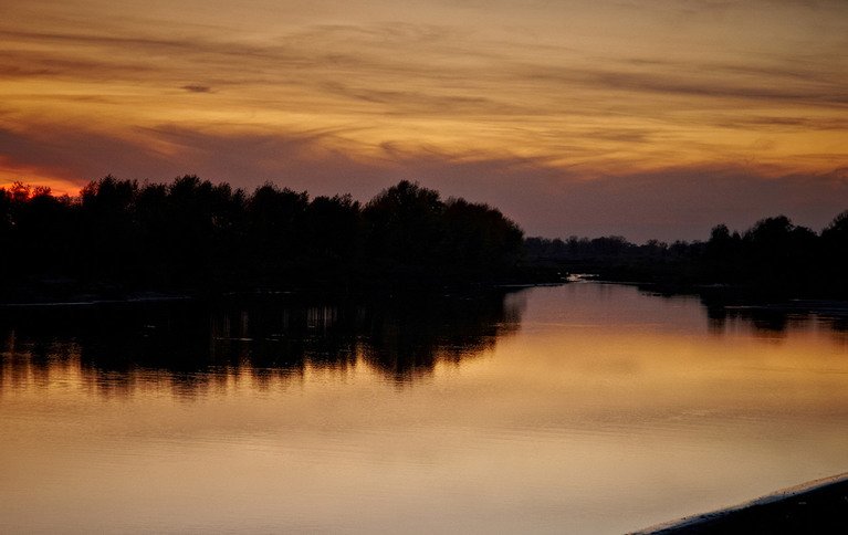 Золотая рыбка