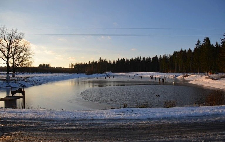 Золотой карп