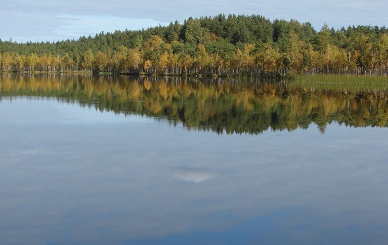 Звейниеки